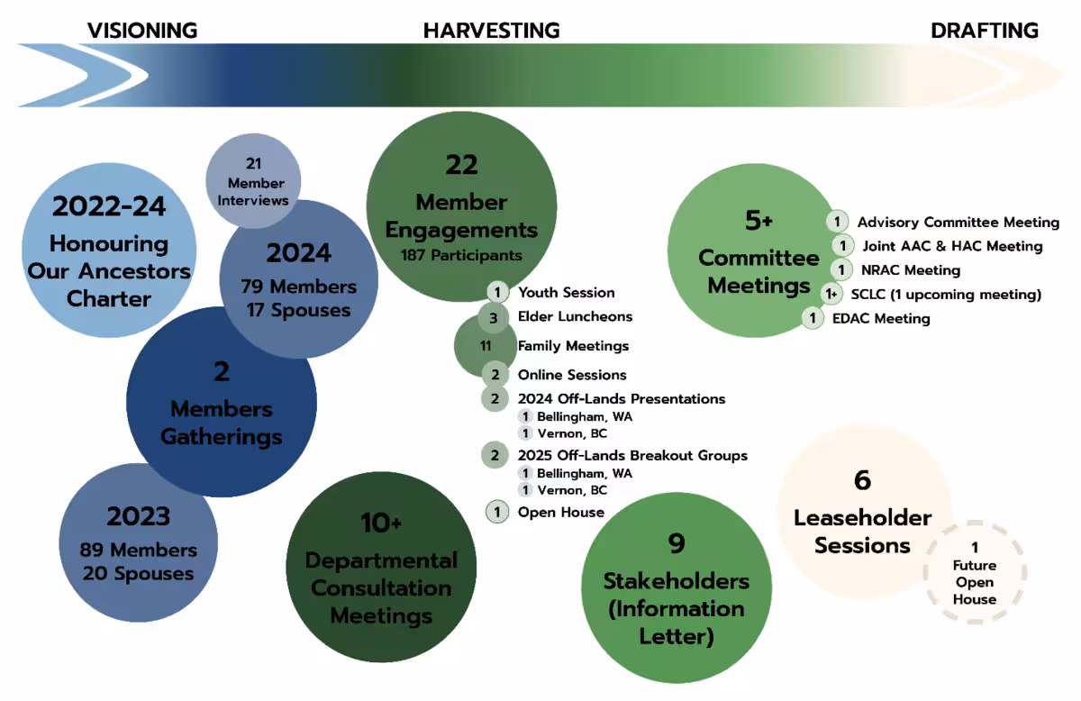Infographic showing visioning, harvesting, and drafting phases with various meetings, engagements, and sessions categorized by circles.