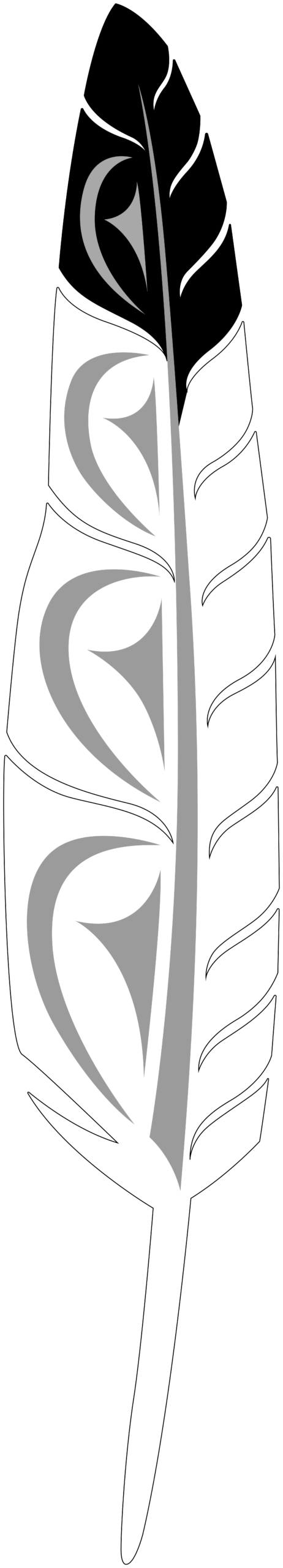 Study Areas icon