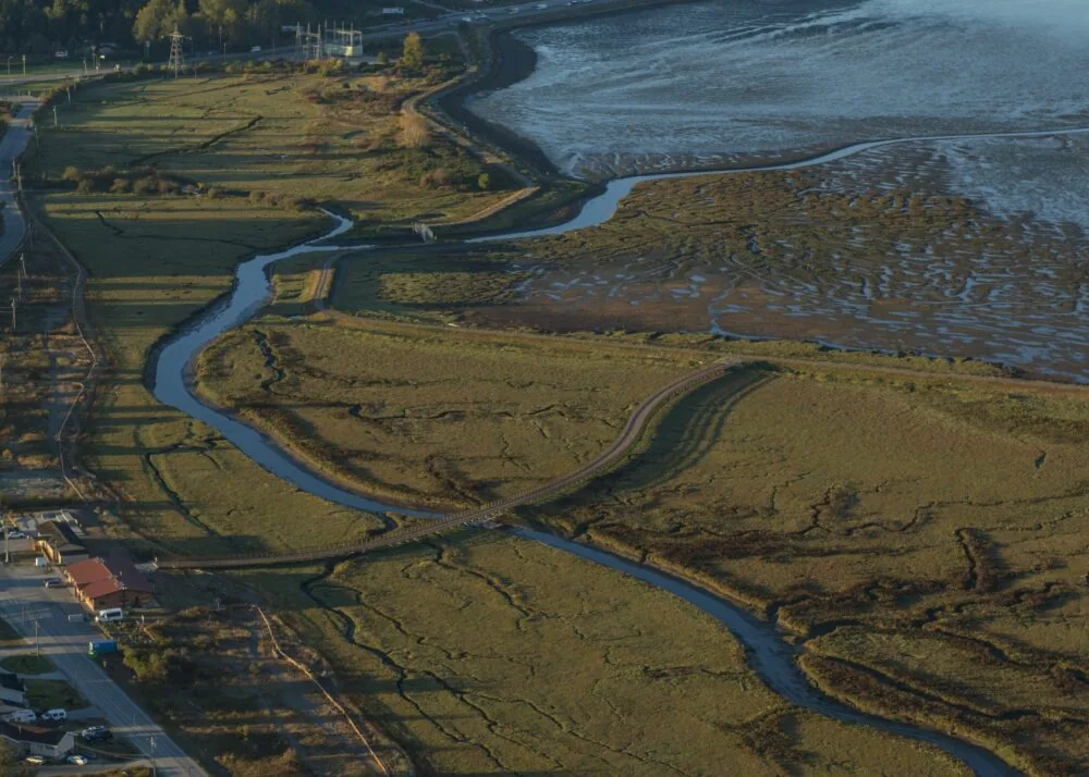 Aerial Tidal Marsh Meandering Channels Bridge Crossing Waterway Aerial view of a tidal marsh with meandering channels and a bridge crossing a waterway.